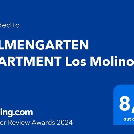 Palmengarten Apartment Los Molinos 马斯帕洛马斯 外观 照片